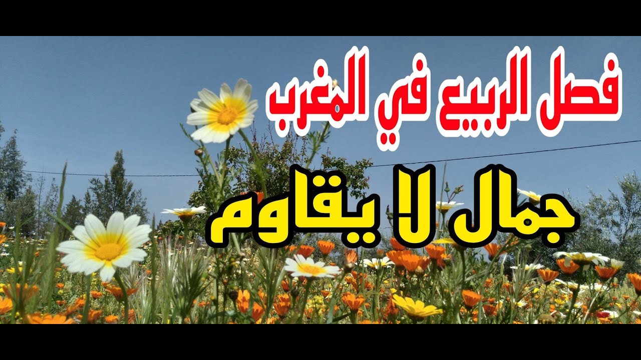 فصل الربيع في المغرب سبحان الله ما اجمل الطبيعة سحر  وجمال لا يقاوم