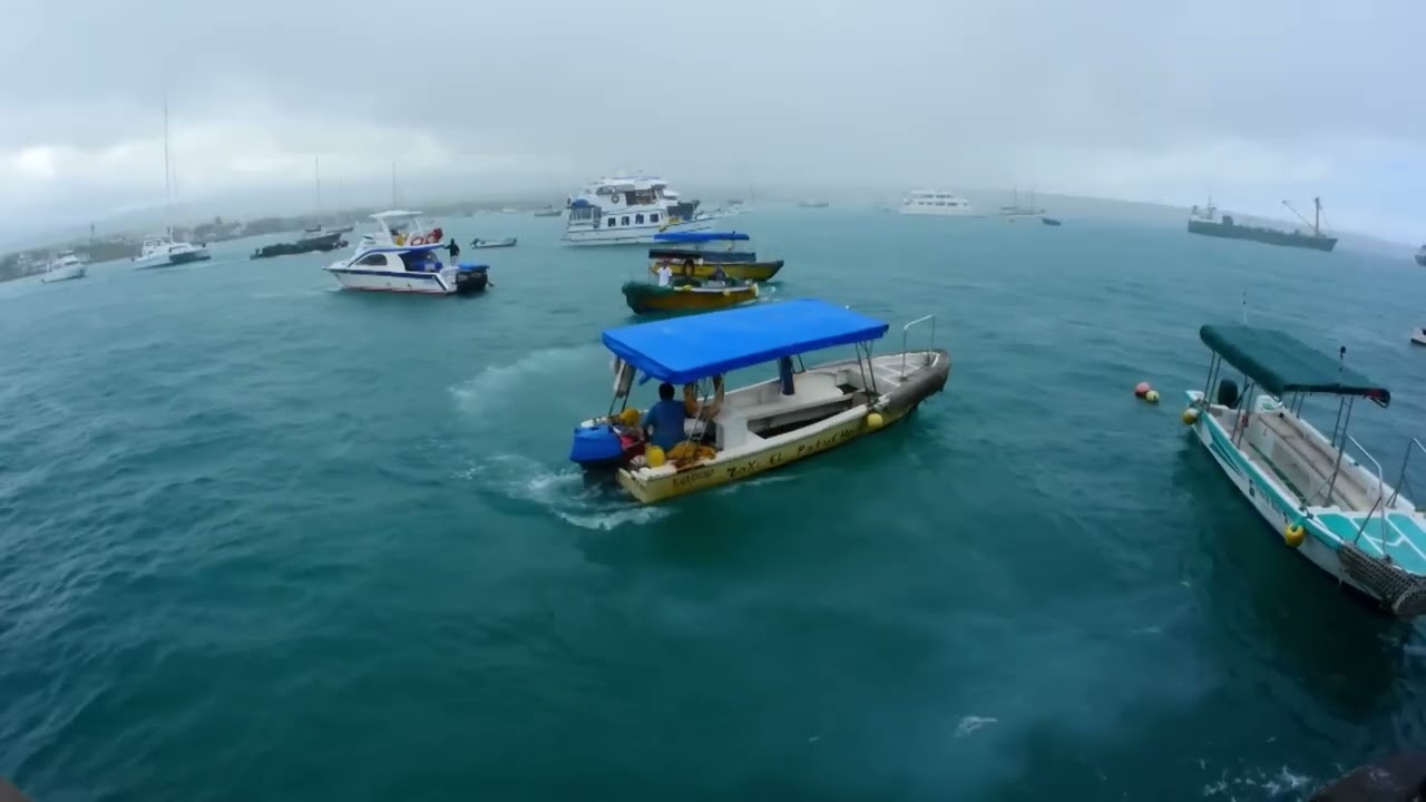 GALAPAGOS   Na Krańcu Świata   Czy koegzystencja jest możliwa    Film Dokumentalno Przyrodniczy