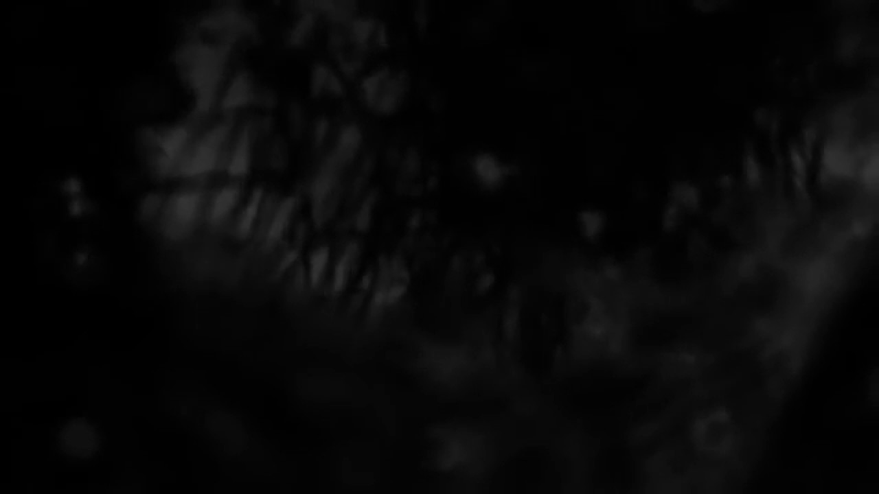 Benthik Zone - I - &dagger;&ecirc;m&thorn;&eth;r&iuml;&sect;