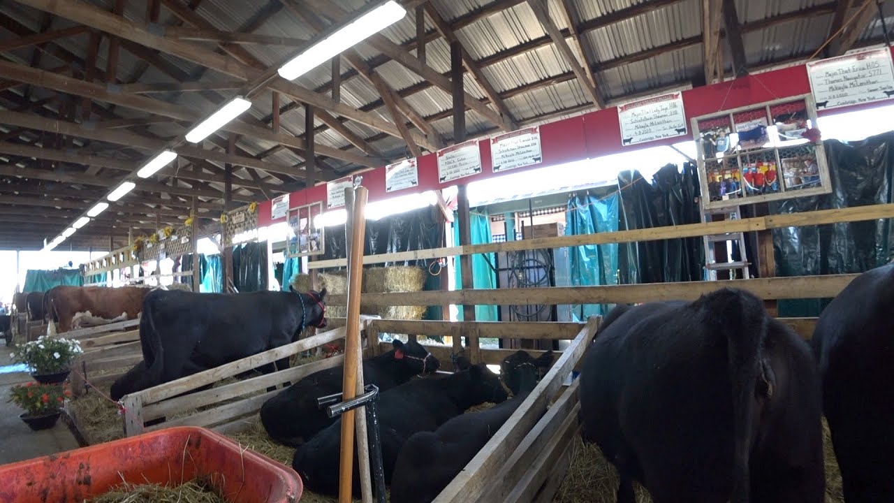 New York’s #1 Agricultural Fair | Greenwich, NY