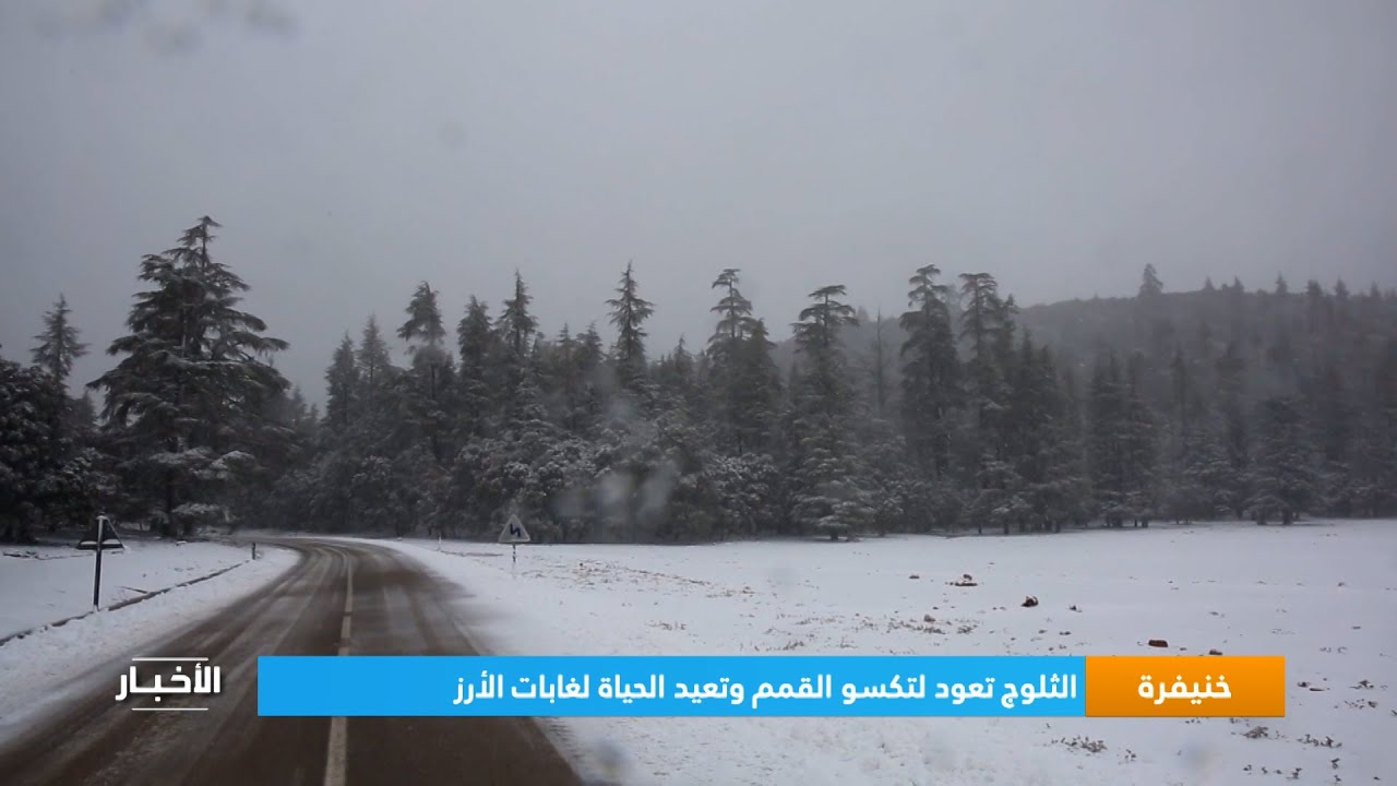 خنيفرة.. الثلوج تعود لتكسو القمم وتعيد الحياة لغابات الأرز