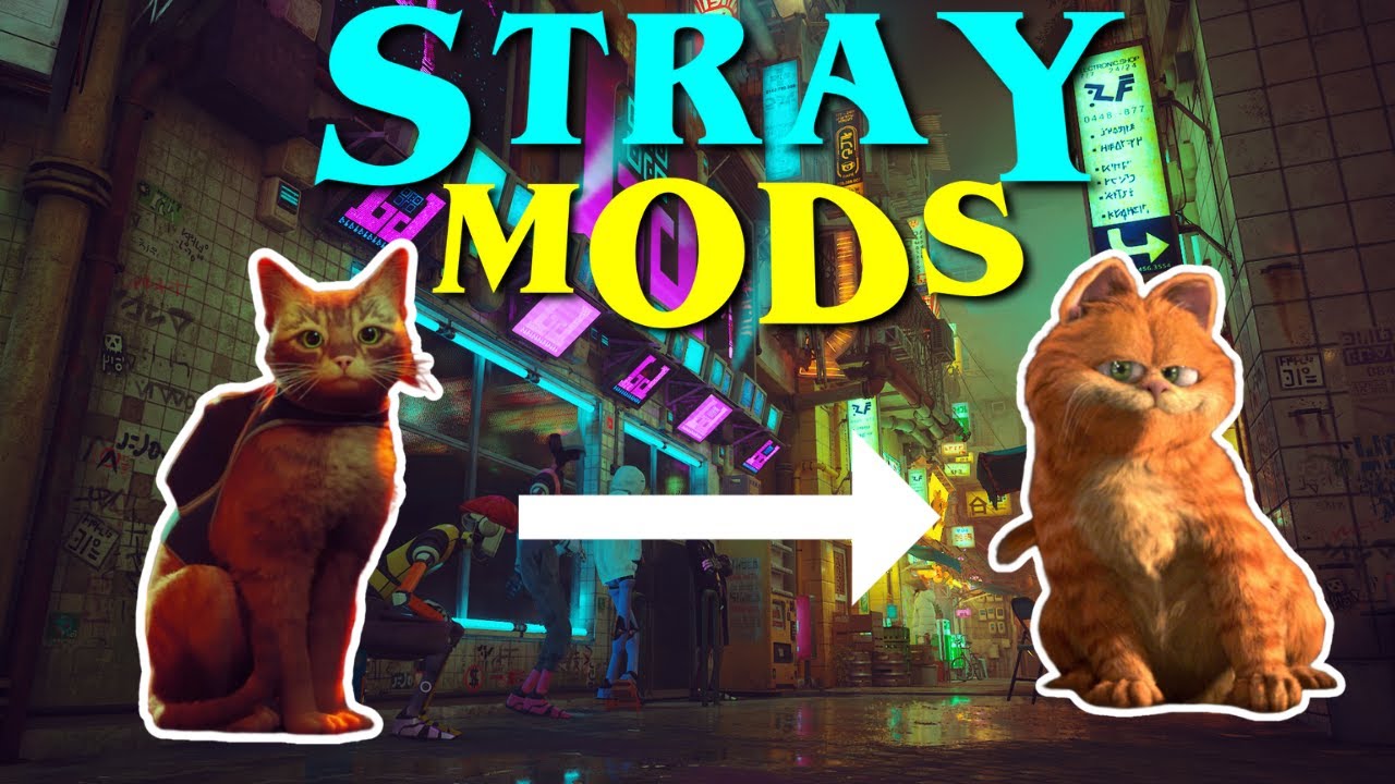 The Top Stray Mods to Enhance Your Journey