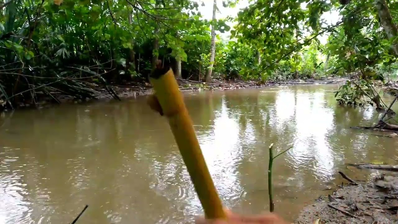 MANCING HUJAN-HUJANAN PANCING SAMPAI PUTUS‼️😱