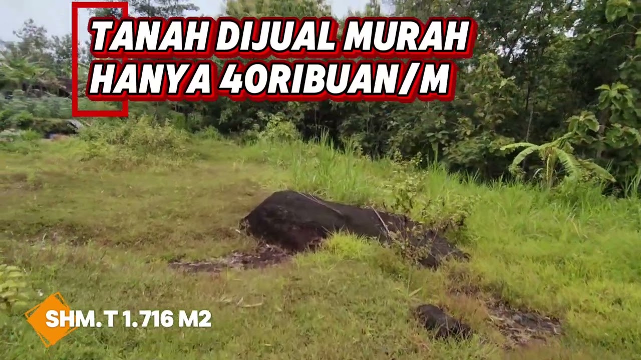 Tanah dijual murah sudah sertifikat hanya 40 ribu/m2
