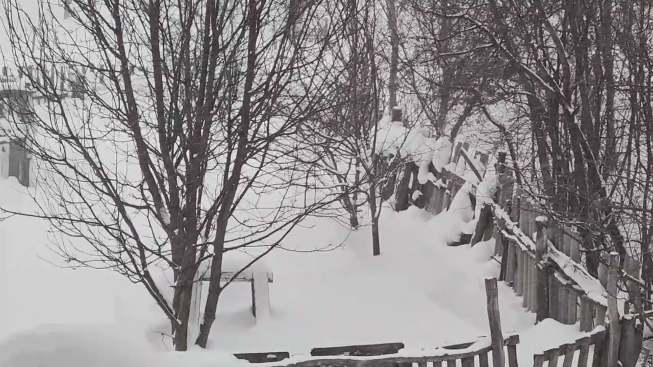 Метель и снегопад в деревне, настоящая зима, заметает снегом ❄ снег хлопьями как в детстве