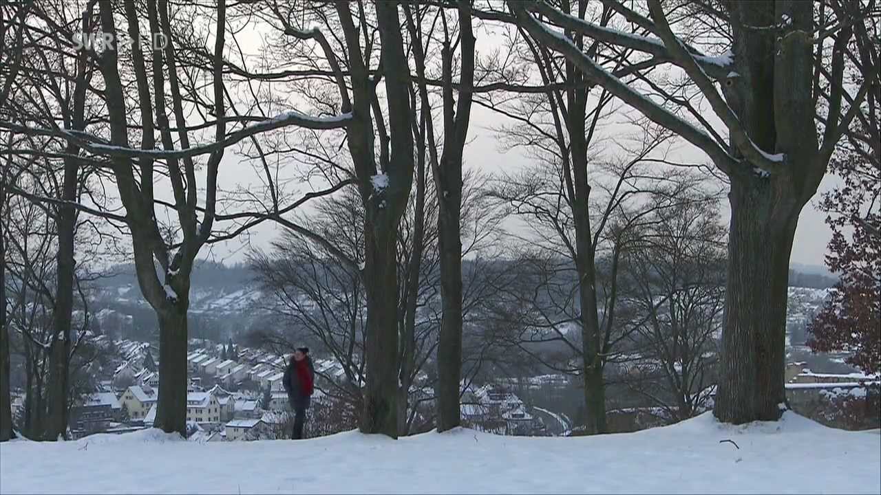 SWR Landesschau BW - Sender Mühlacker [720p nativ]