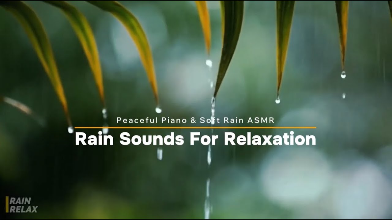 Gentle Rain Sounds with Relaxing Piano Music for Deep Sleep, Calm Focus, and Night Relaxation