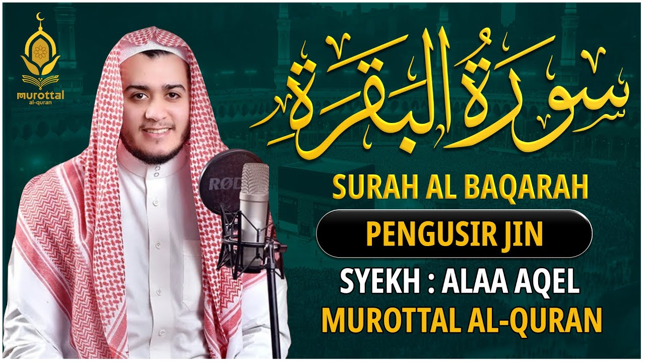 SURAH AL BAQARAH by ALAA AQEL - Setan kabur Dari Rumah - Penenang Hati dan Pikiran
