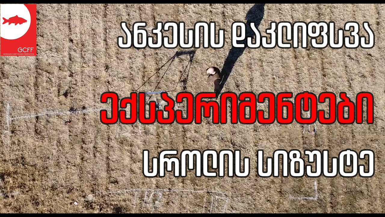 ანკესის დაკლიფსვა და სროლის სიზუსტე - ექსპერიმენტი