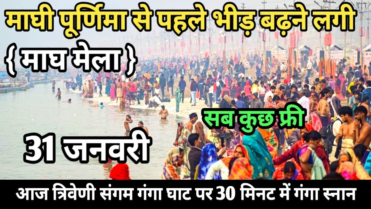 Prayagraj Magh Mela 2026| 31 जनवरी गंगा स्नान |Magh Mela | बिल्कुल आज की ताजा दृश्य | Prayagraj live