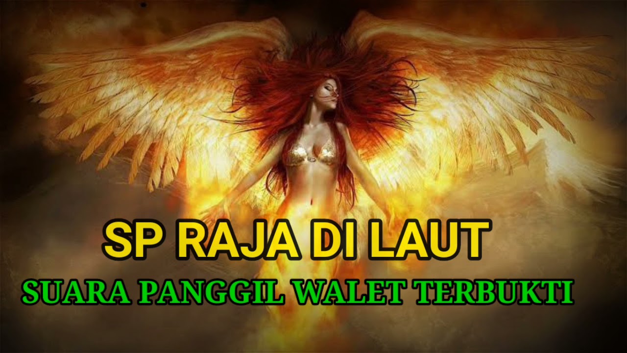 SP RAJA DI LAUT, SUARA PANGGIL WALET TERBUKTI RESPON 2024