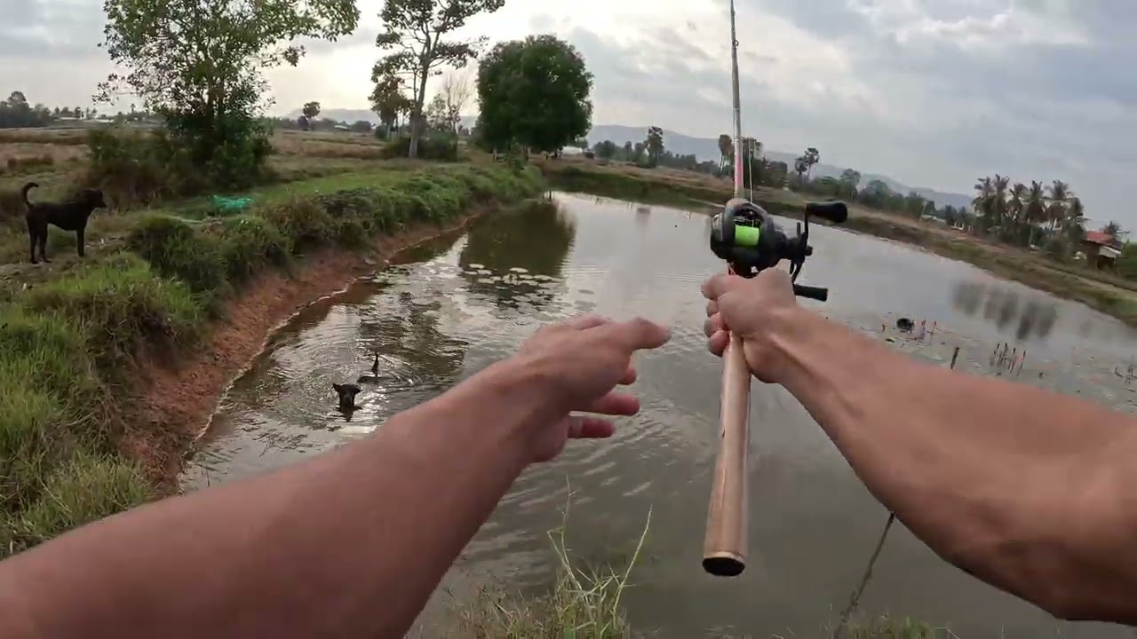 fishing #fishing 