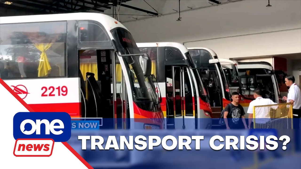 Bus operators warn of possible transport crisis amid high fuel prices | One News Now