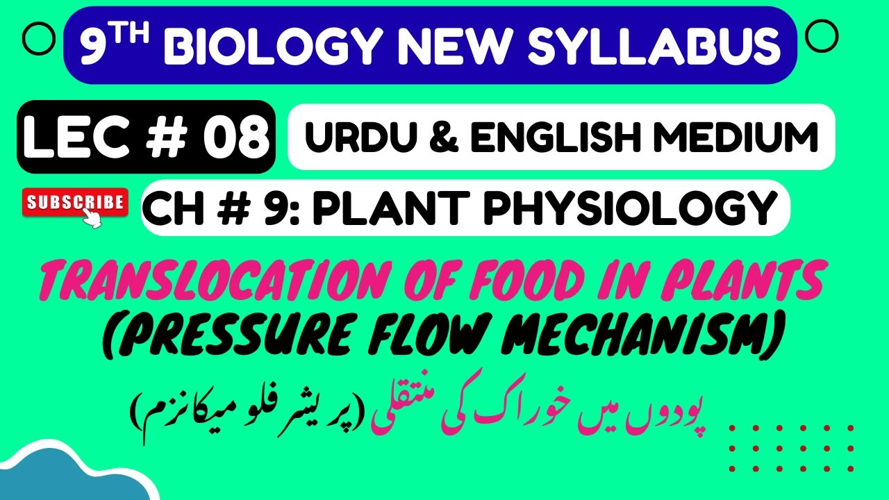 Translocation of Food in Plants | Class 9 Biology Chapter 9 Plant Physiology PCTB 2025 New Syllabus