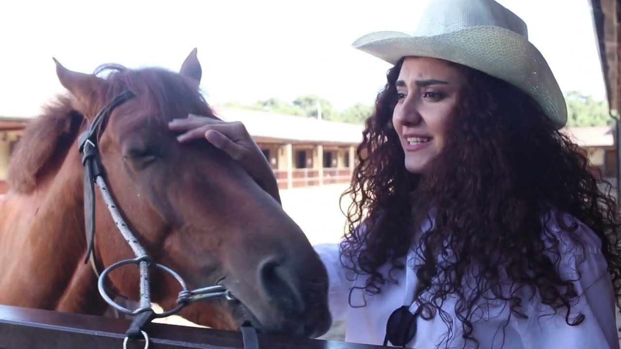HARA GEDƏK ? - BİNƏ ATÇILIQ MƏRKƏZİ #3