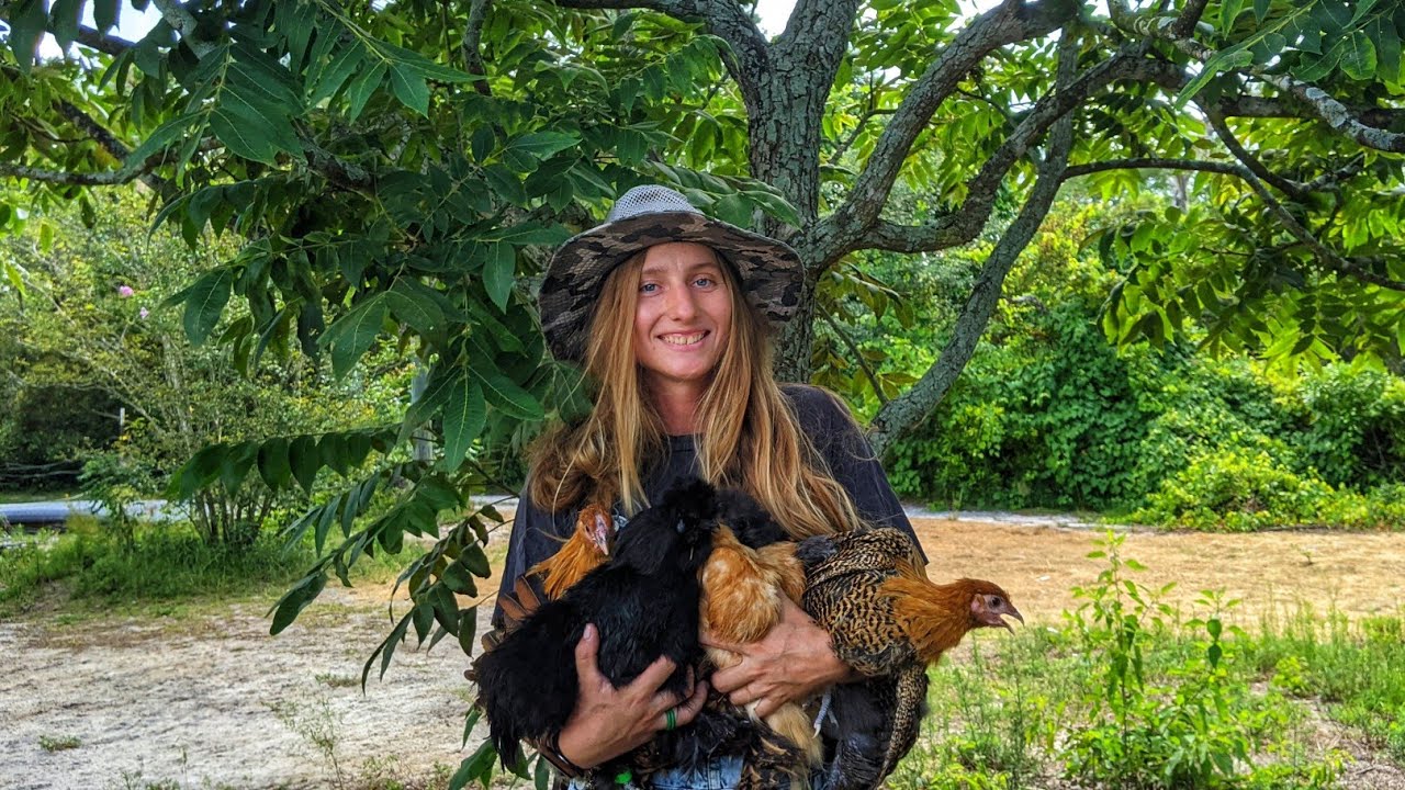 What the Cluck?