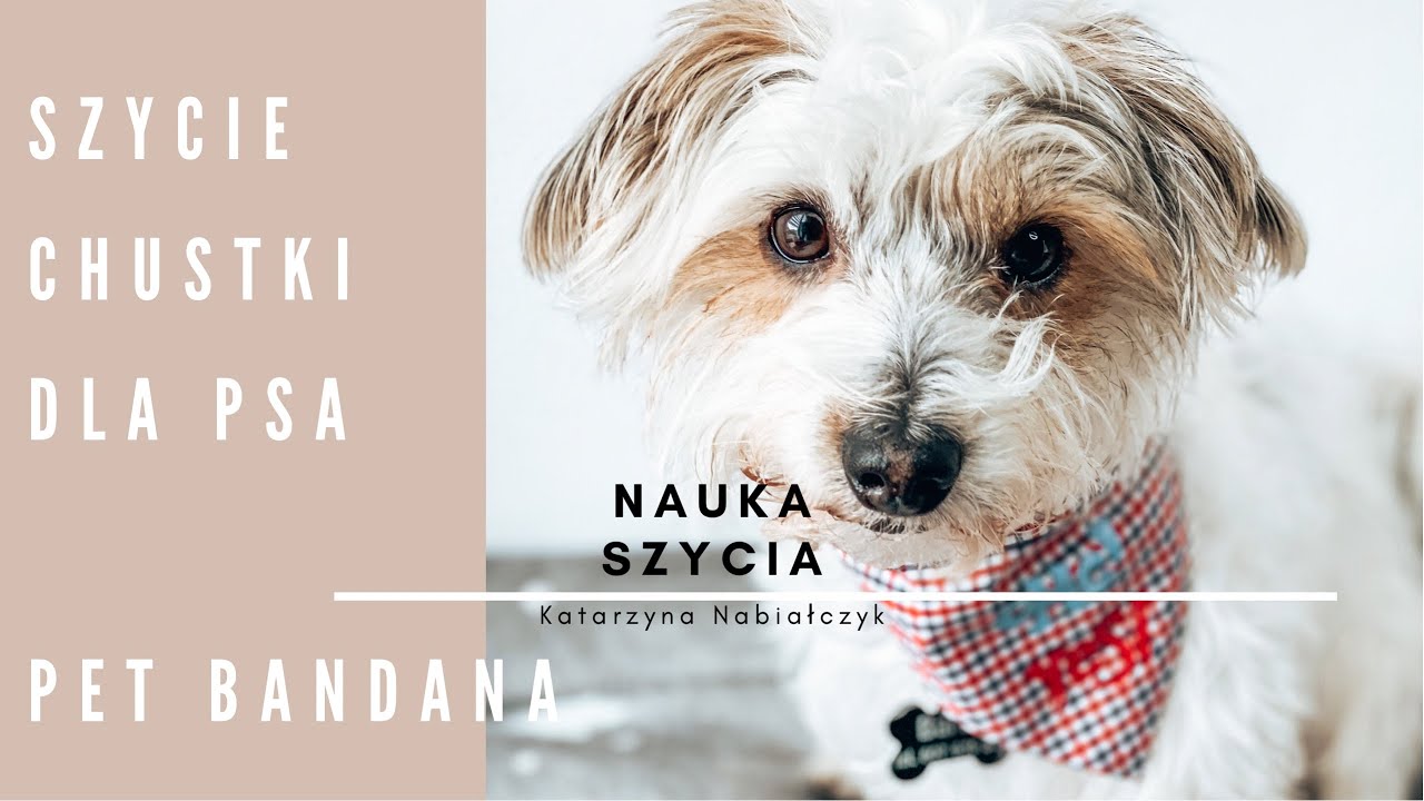 Proste szycie chustki dla psa I Easy Pet Bandana I Sewing  I DIY
