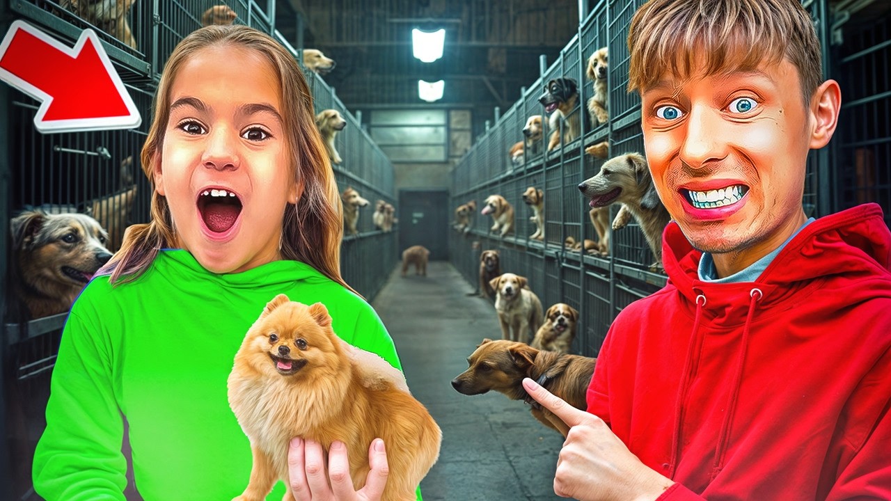 ICH Rettet ein HUNDE WELPE aus dem TIERHEIM!😱