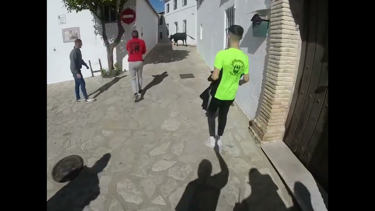 Toro de cuerda san Blas benaocaz por la mañana 2023