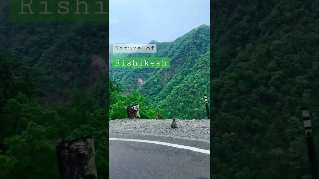 Rishikesh Hill | hill station | nature | mountain ride #tour #shorts