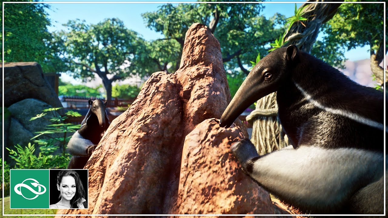 Planet Zoo Beautiful Giant Anteater Enclosure Tour & Build in Planet Zoo