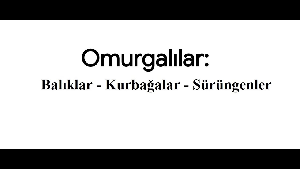 9. Sınıf Biyoloji | Maarif Modeli | Omurgalılar Giriş ve Balık - Kurbağa - Sürüngen