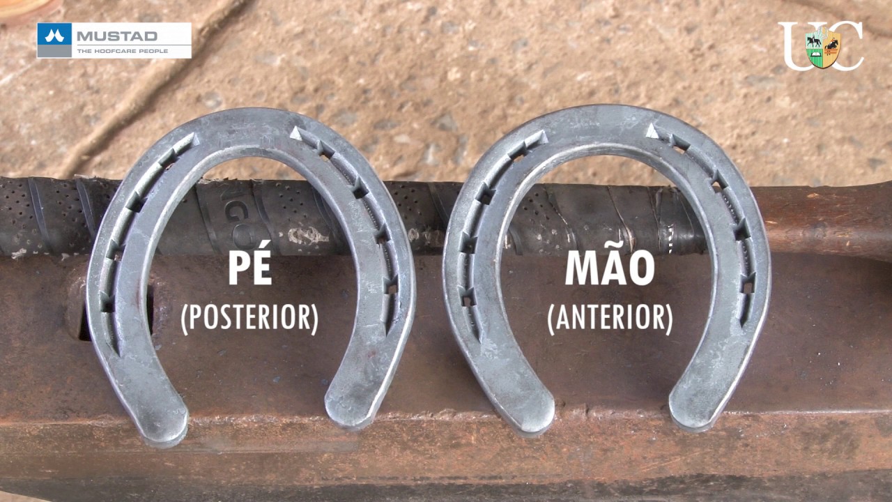 TV UC - Modificar a ferradura de mão para pé e de pé para mão