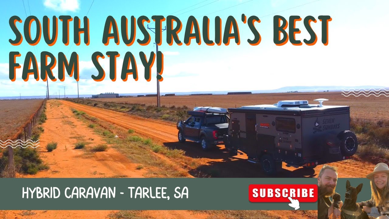 Seven Sundays | This has gotta be SA's BEST farm stay! | Hybrid Caravanning Aus | Sheep & Sunsets