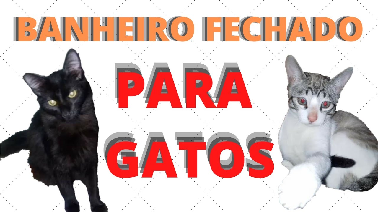 COMO FAZER  BANHEIRO  FECHADO PARA GATO FEITO DE CAIXA DE PAPELÃO C/ CARVÃO ATIVADO