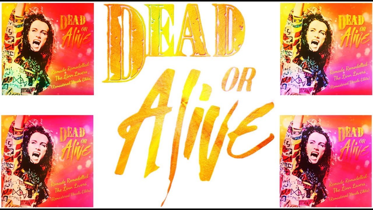 Dead or Alive - Something In My House (REMASTERED VOCALS Pete Hammond Linn Lovers Edit)
