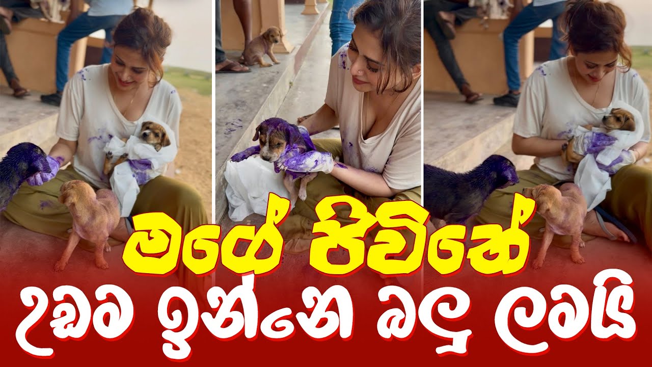 Piumi hansamali | මගේ ජිවිතේ  උඩම ඉන්නෙ බලු ලමයි මම අසිමිතව එයාලාට ආදරෙයි 🥹