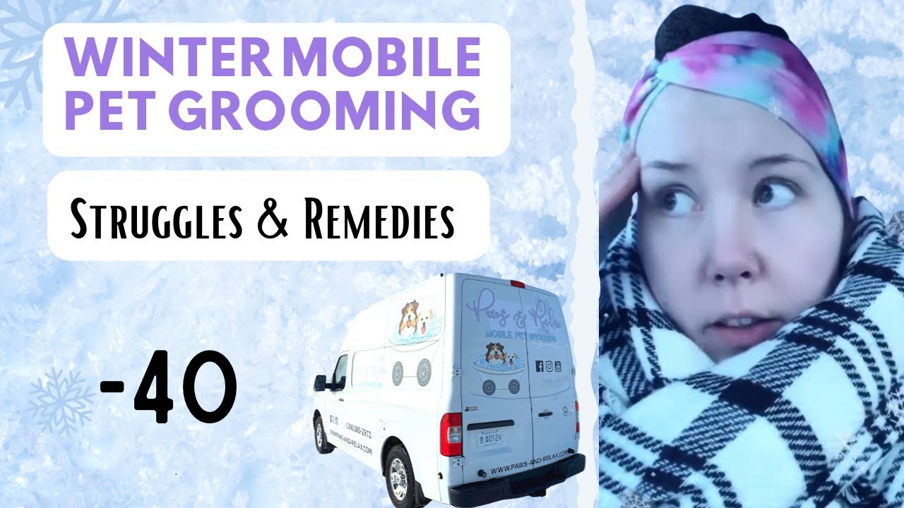 How I Mobile Pet Groom in the Winter | Pet Grooming Business