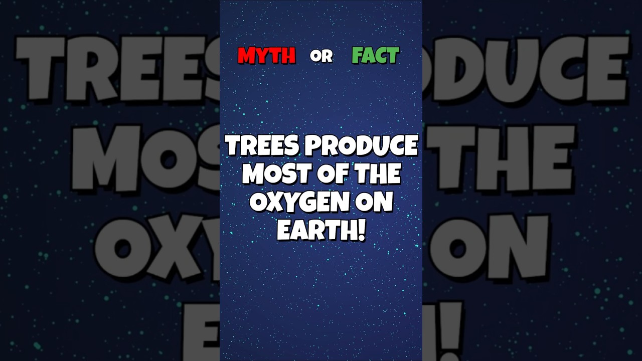 Do Trees Really Produce Most of Earth's Oxygen? The Ocean&rsquo;s Secret Revealed!