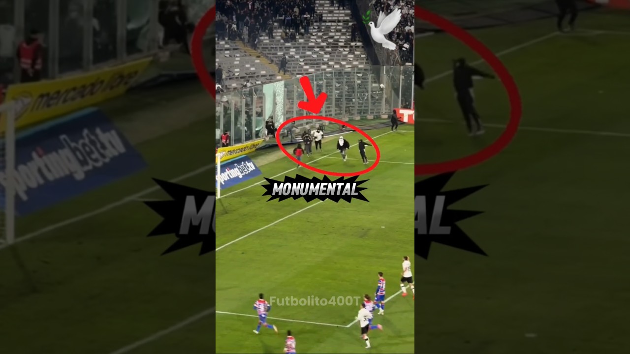 5 Tragedias en el futbol 😥😥 #football #espa&ntilde;a #chile