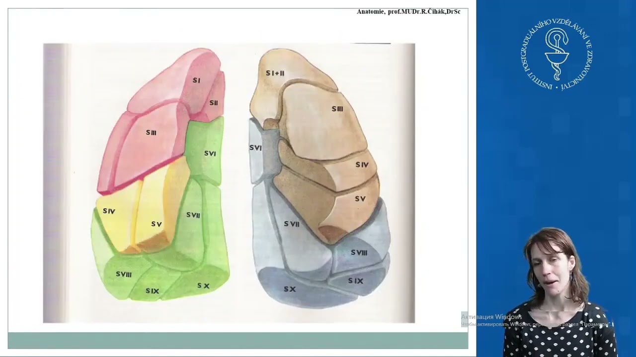 IPVZ pediatrie. Pneumologie 1