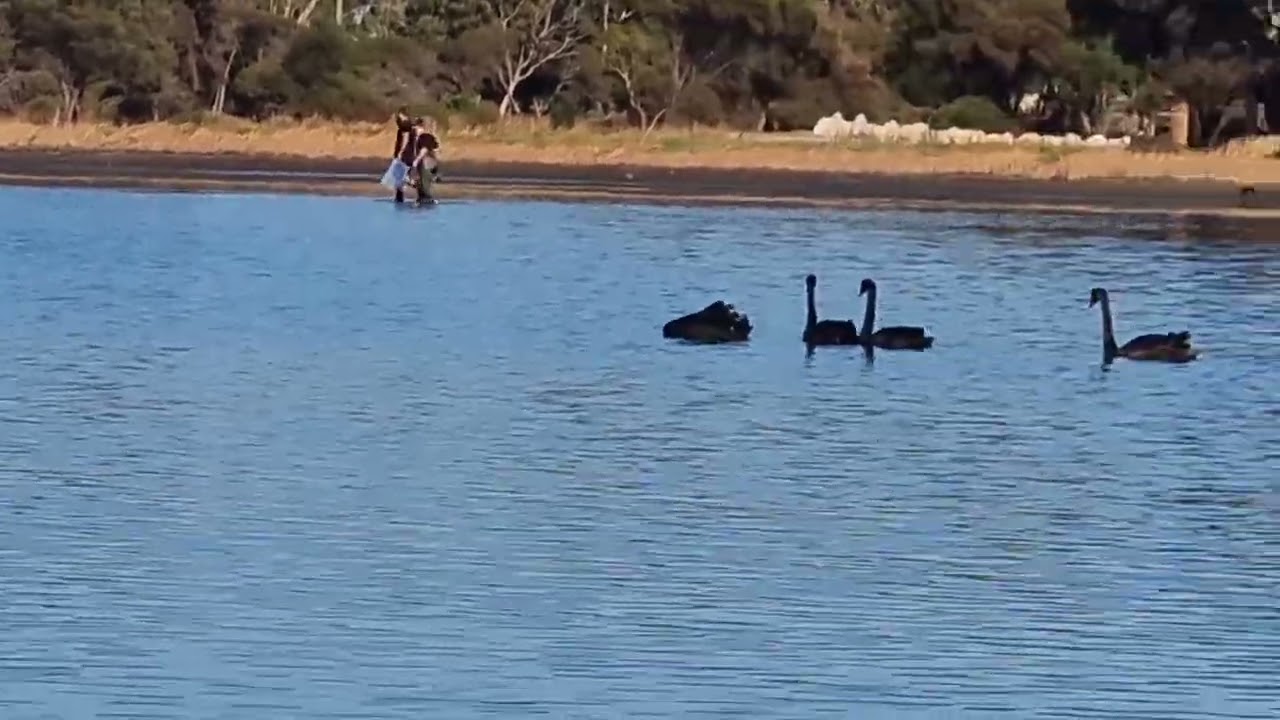 Relaxing while Crabbing