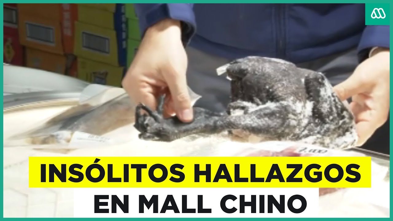 Mall chino vuelve a ser clausurado: Vendía carne de especies exóticas sin ningún tipo de etiquetado
