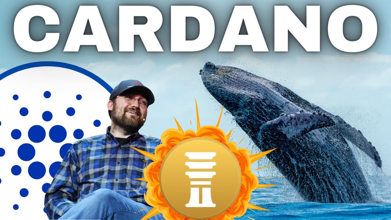 BREAKING: Cardano ADA A Review: Explodes With The Introduction Of DJED! Institution Continue To Buy!