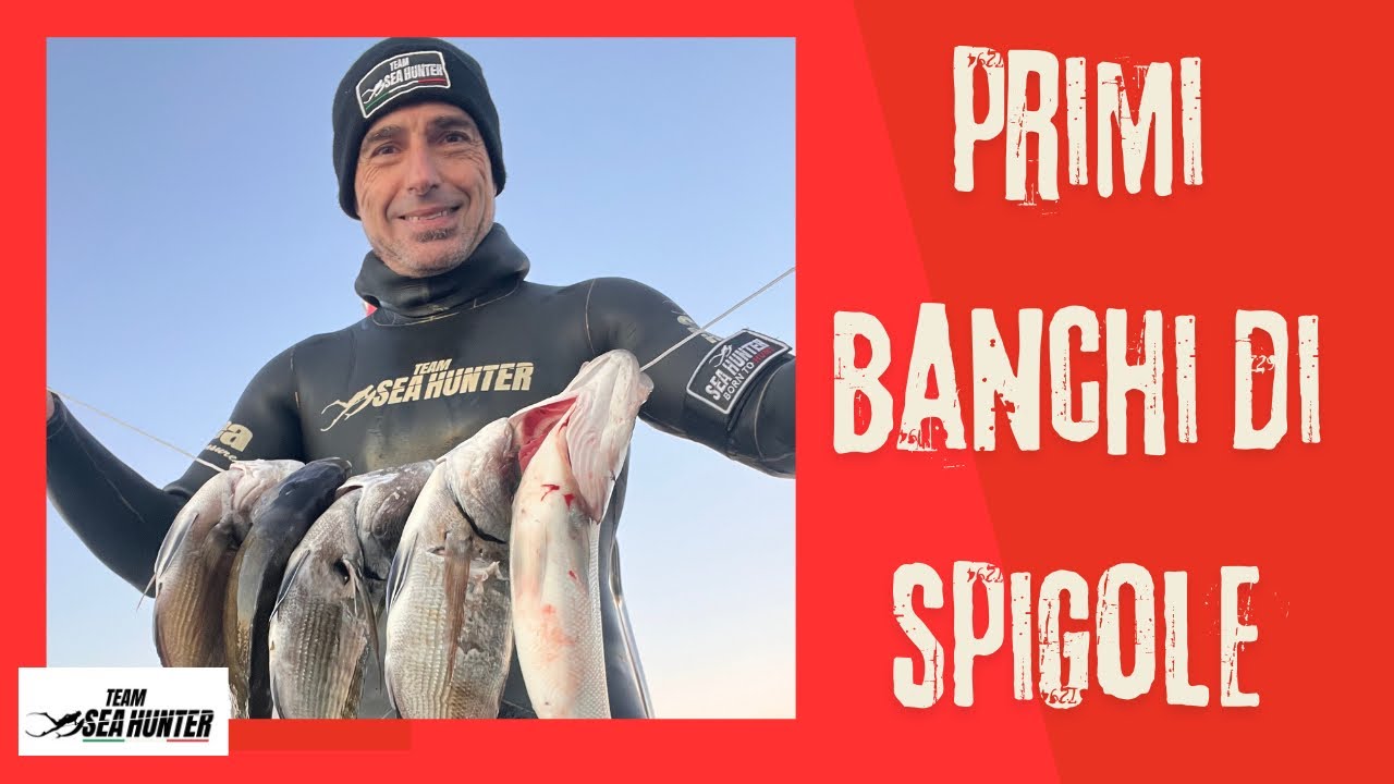Pesca in apnea invernale: primo banco di spigole e saraghi con mare freddo ❄️
