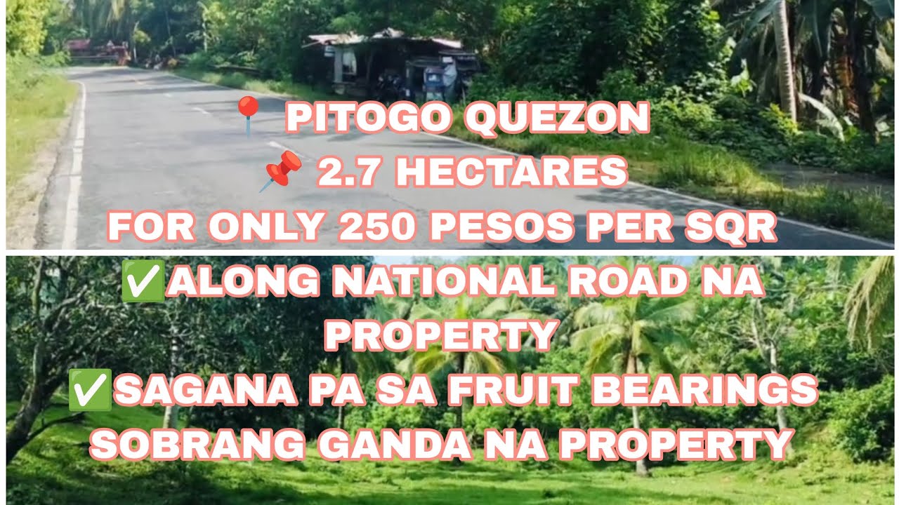 Vlog- 47📍 PITOGO QUEZON/FARM LOT.‼️ SULIT SA PROPERTY NA ITO!‼️.Please read the description below