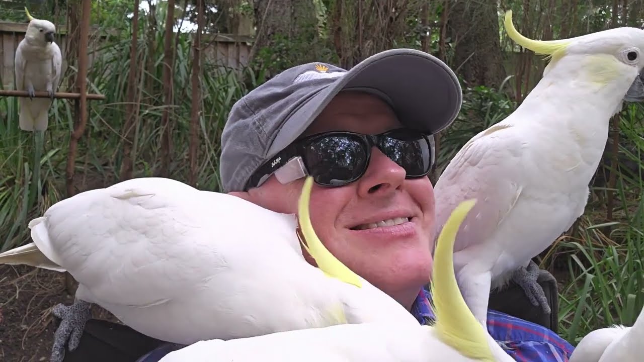 Surrounded by beautiful wild birds! 