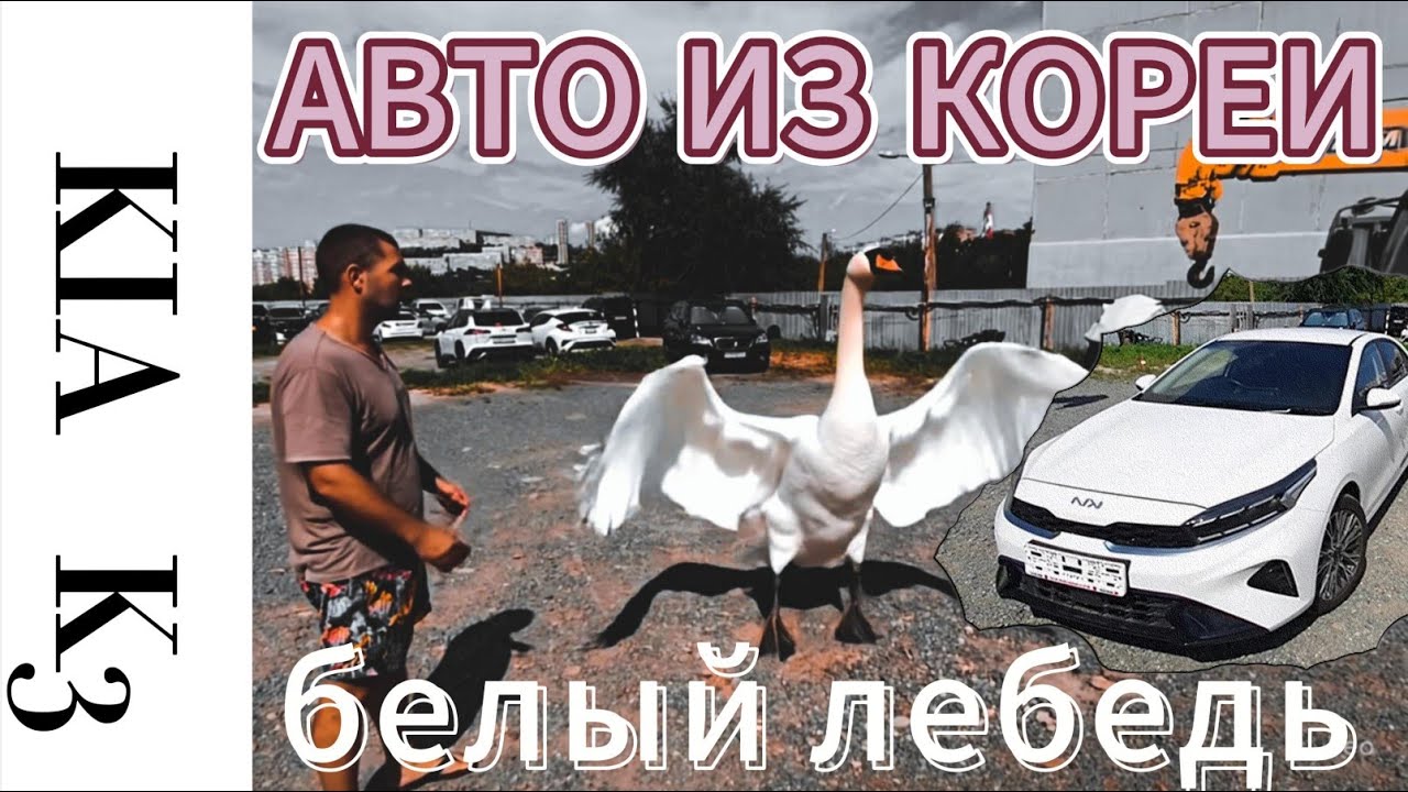 АВТО ИЗ КОРЕИ✅, КИТАЯ✅ И ЯПОНИИ✅. ПРАВОРУЛЬКА.