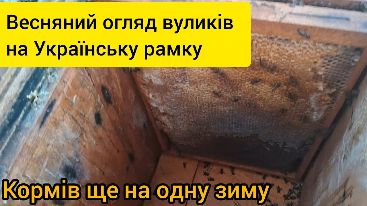 Огляд вуликів на Українську рамку 2026