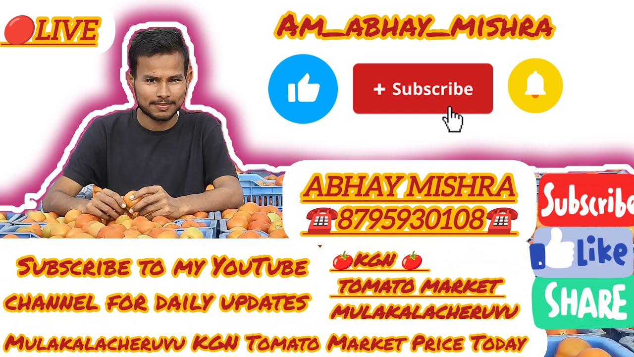 Abhay Mishra  is live!#mulakalacheruvu KGN టమోటా మార్కెట్ ధర నేడు