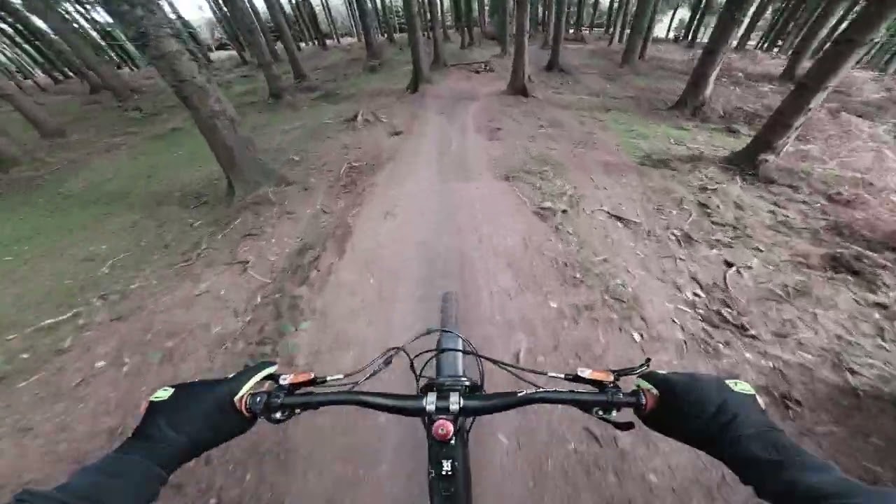2026 First Ride. Back To The Forest Of Dean For A New Years Day Wobble
