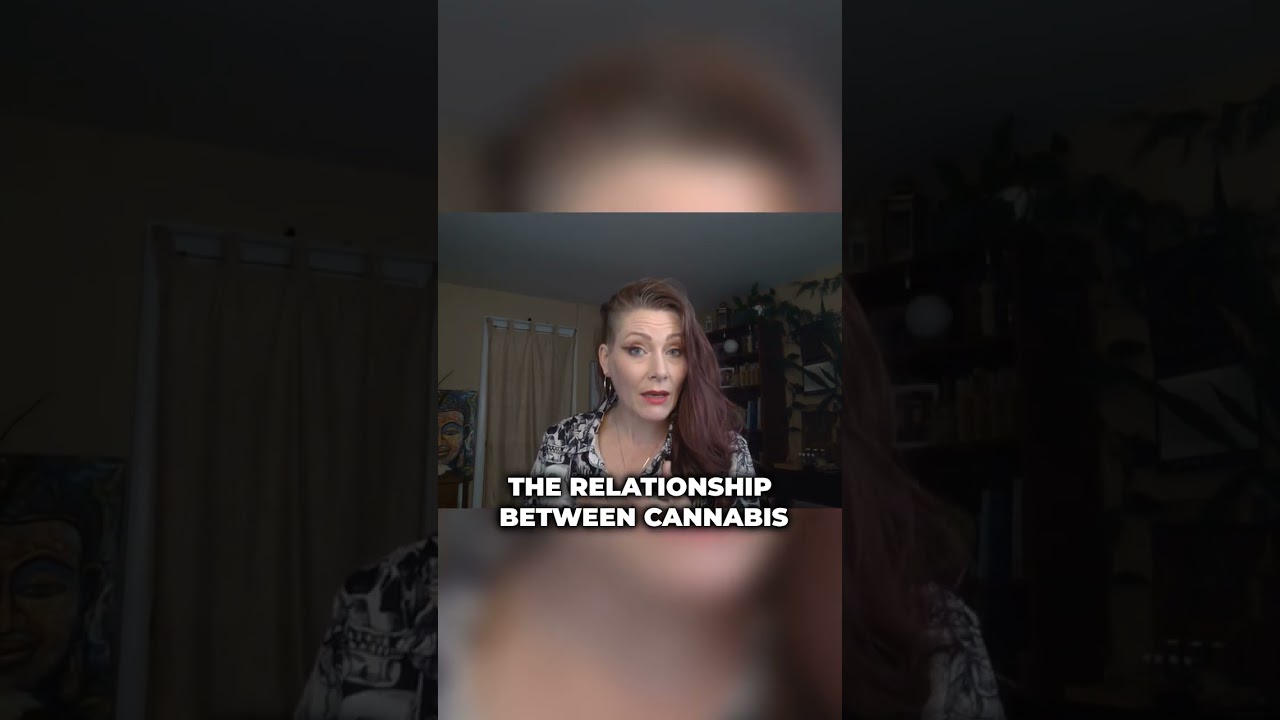 Cannabis for Focus? Productivity Hack You Didn&rsquo;t Expect
