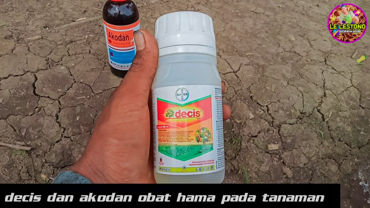 Decis dan akodan obat hama pada tanaman