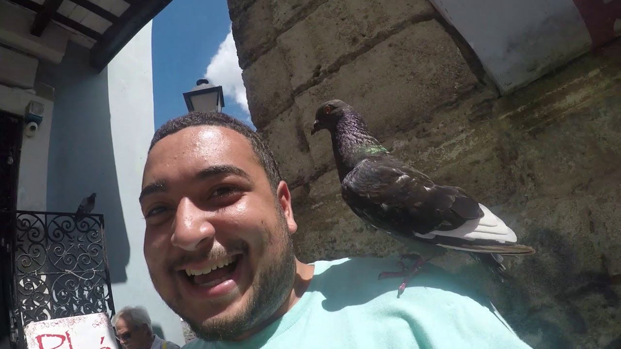 Travel Vlog | Exploring the Island Of Puerto Rico