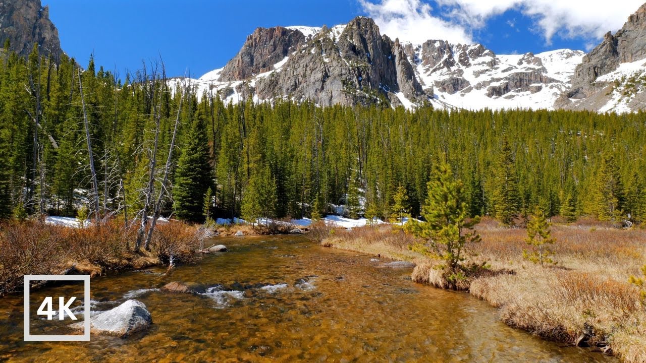 4K Mountain Creek Ambience | Sunny Day in Rocky Mountains | Nature Sounds for Sleeping and Relaxing