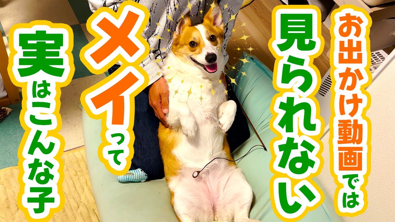 【1年分の未公開日常編】実は家だとこんな感じです【メイ3歳になりました🎉】